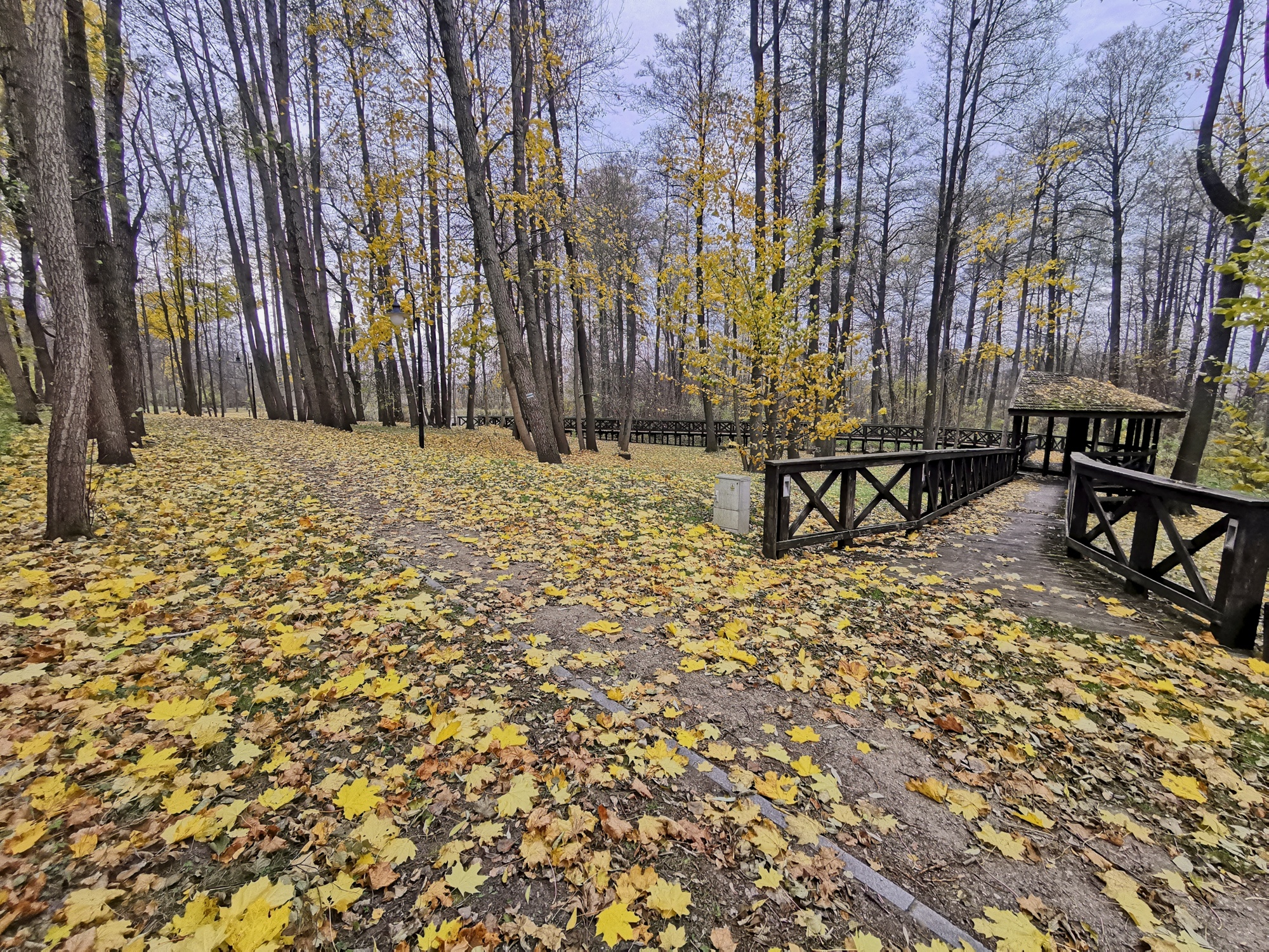 14-Korycin, -park plebański. Fot. L. Pawlata.jpg